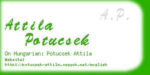 attila potucsek business card